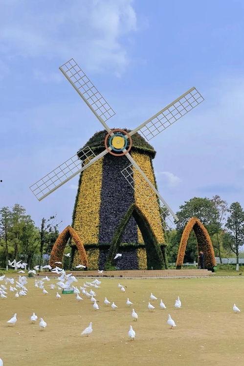 三点6卡池最新爆料,最新爆料揭示神秘角色与精彩剧情  第3张